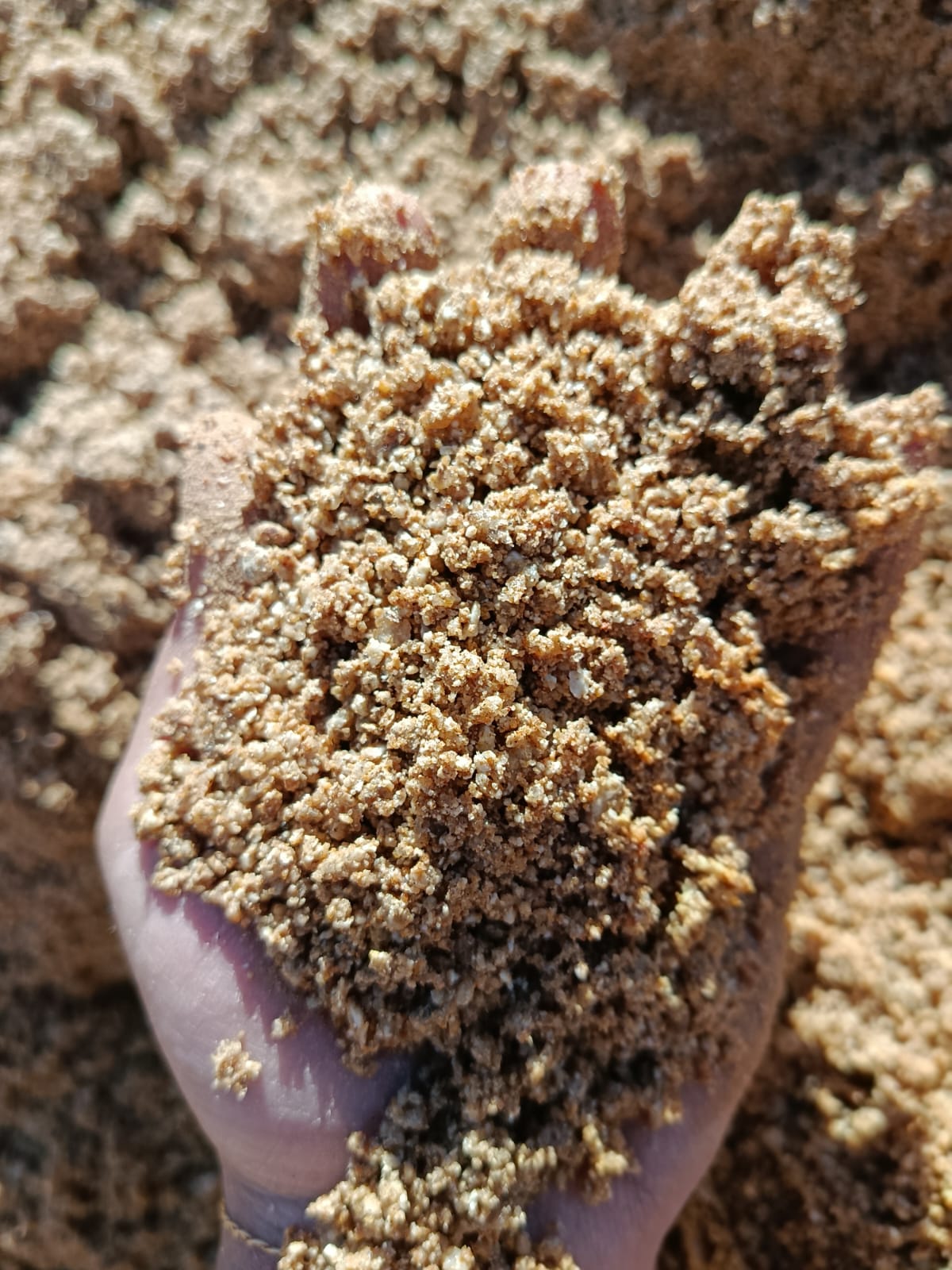 Areia Grossa Lavada